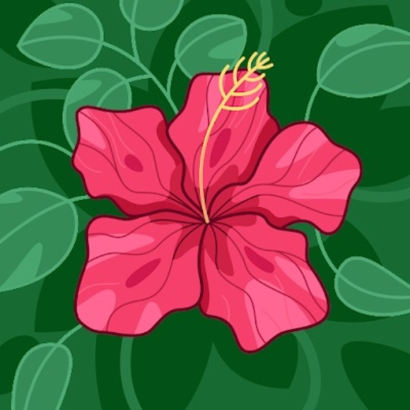 edanae121580